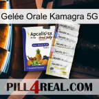 Gelée Orale Kamagra 5G 11
